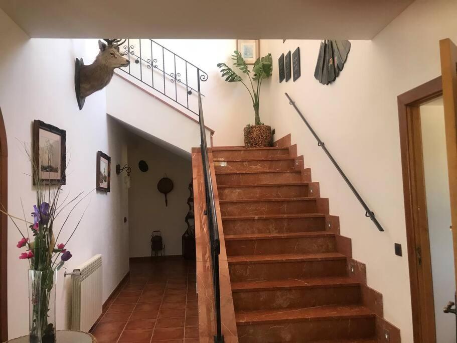 Villa Miramar Sant Llorenc Des Cardassar Extérieur photo